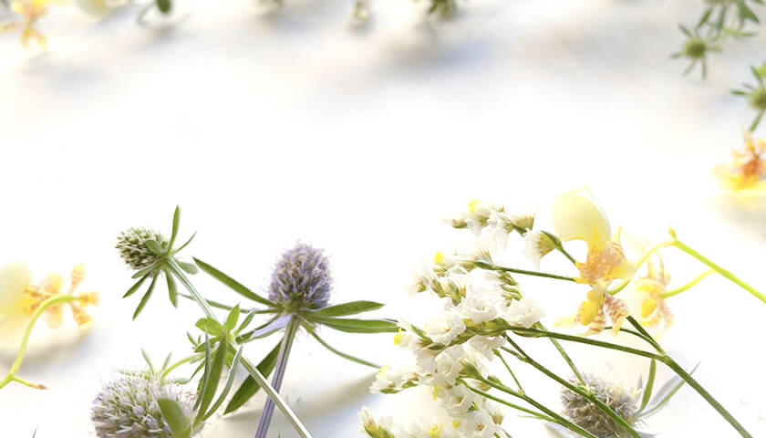 ����ʹ�������������ּ��Ų��ɡפȿ��Ǥ��줿����Ѥϸ�Ƥ���٤���