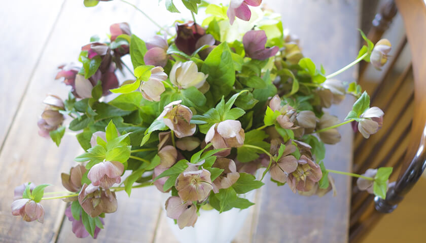 ǥ����ˤ����䤹���Ȥ�����֤�����֤�ס��������к��ˤĤ��ƶ����Ƥۤ���