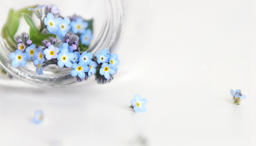 ɡ����Τ���ߤ��ˤߤ��ĤŤ��������Ǥ��ʤ��ۤɤǤϤʤ������Ǥ����ۤ����褤��