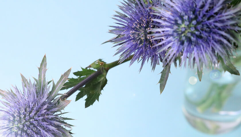 �Ȥ��ɤ�������������롣�����������Τϥ����ˤʤ롩