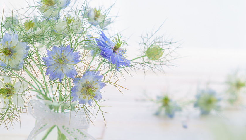 �Ҥɤ���ݰ��ǥ���¤�ή�Ԥ��Ƥ��롣���ߡ�ǥ�������ǥ�ؤؤαƶ��Ϥ��롩