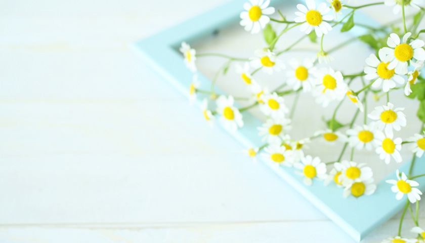 ��Ǥ���Ǣ��ͽ�����Ȥ���줿����Ǣ�¤ˤʤ�ʤ���������դ��뤳�Ȥϡ�