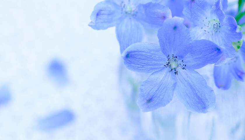 ͫ���Ĥʵ�ʬ��ޤ�ȯ����������ǯ���㳲�ϼ��Ť�ɬ�ס�