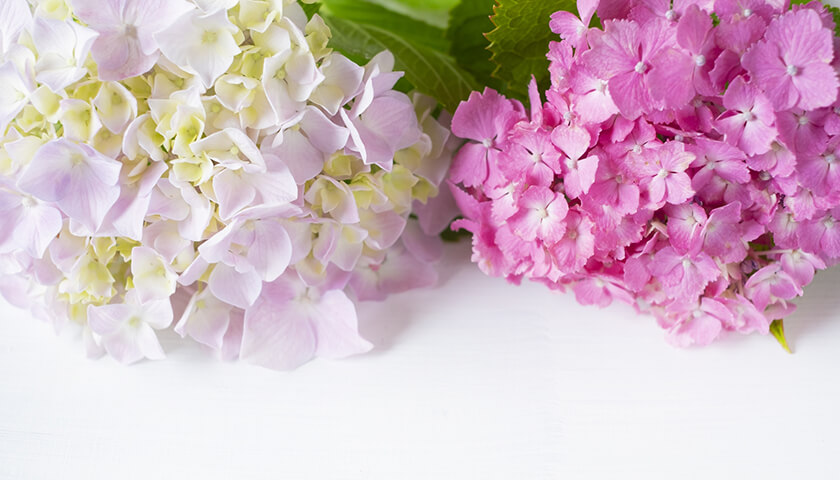 �벦�ڳ��ν��������ˤʤ롣��Ω���ʤ�����ˤϼ�Ѥ�ɬ�ס�