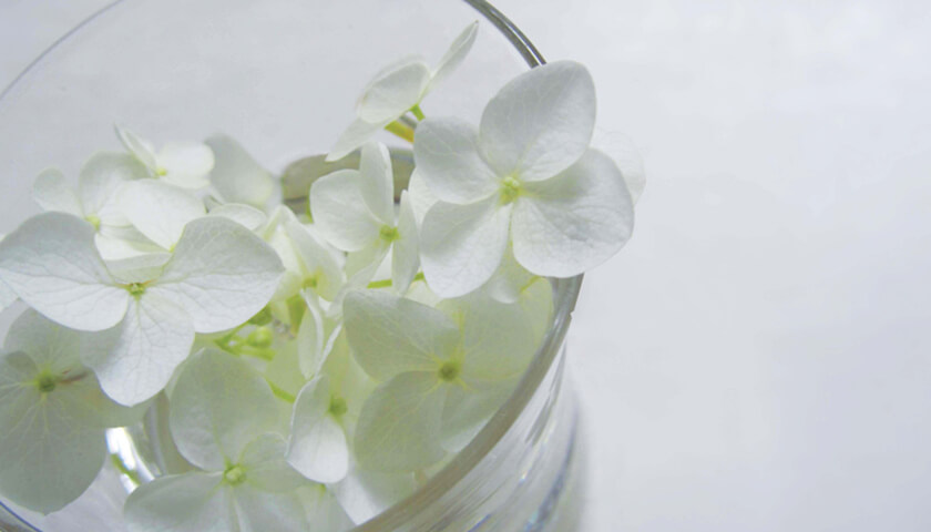 ¿ȯ���ҵܶڼ𤬸��Ĥ��ä����ķдֶ������Ѥ�ɬ�ס�